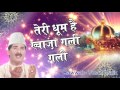 Urs Khwaja Gareeb Nawaz 2017 Teri Dhoom Hain Khwaja Gali Gali New Audio Qawwali Yusuf Malik