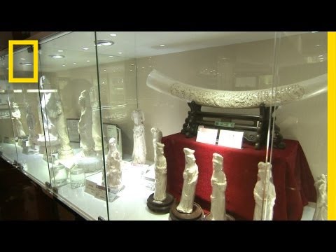 Episode 3: The China Ivory Market | Battle for the Elephants