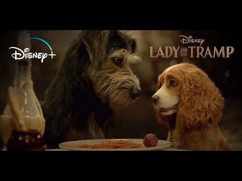 Lady and the Tramp 2019 Spaghetti full scene...