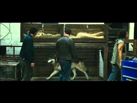 Contrebande - bande annonce VF