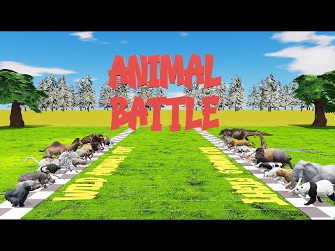 32 Wild Animal Fights, Which is the Strongest Animal? | CookieNey