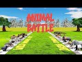 32 Wild Animal Fights Which Is The Strongest Animal CookieNey