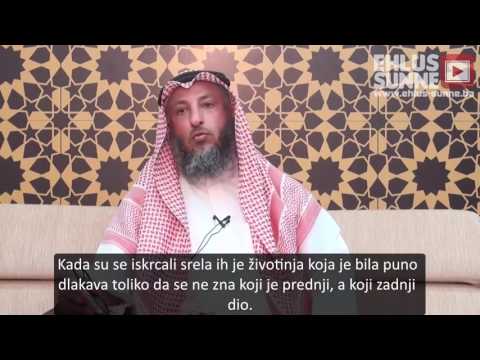 Da li je istina da je Temim ed Dari vidio Dedždžala