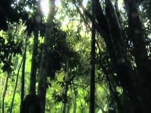 Nερό το μεγάλο μυστήριο