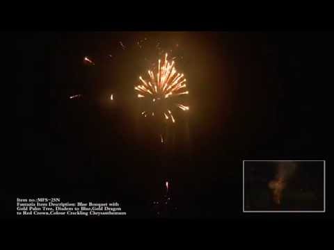 25 shot mixed effects - bombettes and willows. 25 seconds