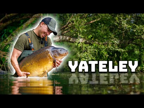 I Dreamt Of This Moment! 🎣😴 | Carp Fishing Yateley | PLUS NEW TACKLE