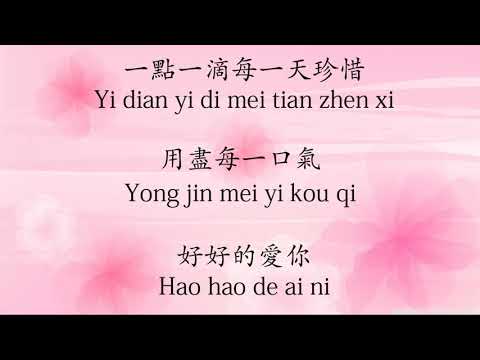 倒數 (Dao Shu) - GEM - pinyin lyrics incl.