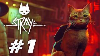 私は猫になりたい #1【Stray（ストレイ）】