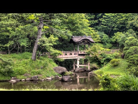 1 Hour Alpha Waves Meditation Music