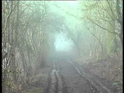 THE WEATHER AT WAR - THE FOG OF WAR