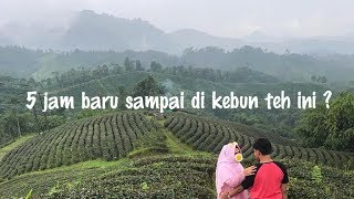 Download lagu Vlog Wisata ke Kebun Teh Cikuya, Lebak Banten - part 1 #jalanjalanekarizal #vlog7 mp3
