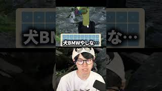 犬に舐められてる配信者 #葉切り抜き