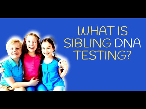 What is Sibling DNA Test | How It Works and What It Reveals