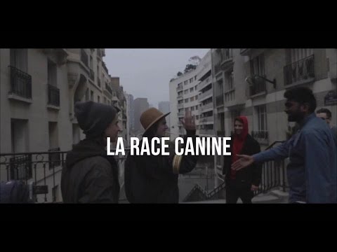 La Race Canine - À l'intérieur #HEROïNE