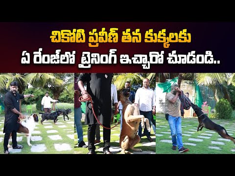 Chikoti praveen kumar About His Dogs | Chikoti Praveen Kumar Farm House Tour | @sumantvtelugulive