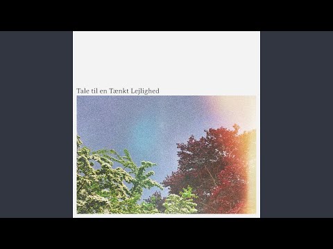 Tale til en tænkt lejlighed