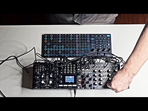 Ninando - Massive  // Drum and Bass / Breakbeat Live // Eurorack Modular + Oxi One