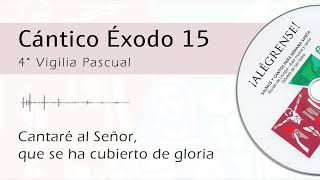 Eq.  Diocesano de Liturgia San Isidro