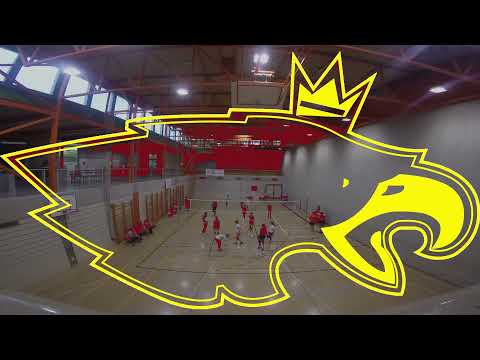 Genève Volley et ses juniors