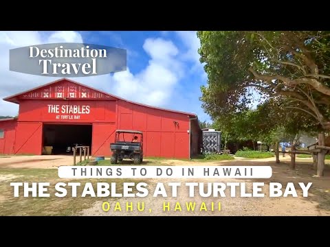 Things to do in Hawaii | The Stables at Turtle Bay Resort | Virtual Walking Tour