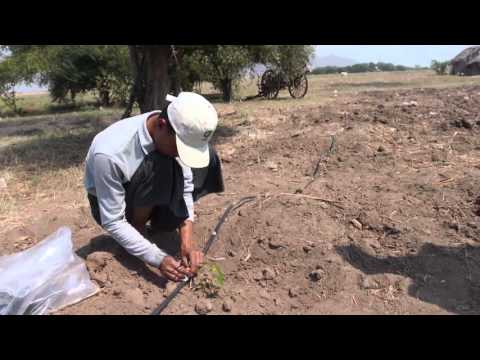 Rađanje zemlje S05 EP3 - Ponedjeljak 17:05