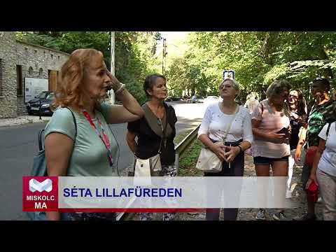 Videó előnézet