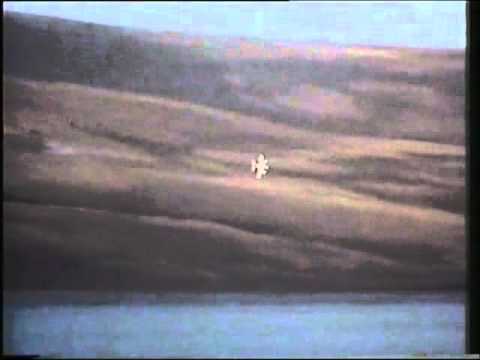 Falklands War-Bomb Alley