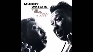 Muddy Waters - You Can&#39;t Lose What You Never Had [HD]