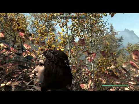 Skyrim 100% Maximized Legendary Playthrough - 525. Exploring the Eastern Rift Part 3