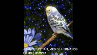 JOAN SEBASTIAN,,,MEDIOS HERMANOS