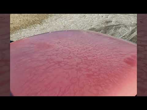 1967 Saab 96 Special 1/3