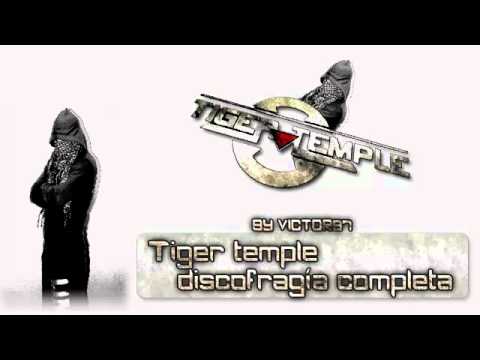 10 - El Templo Del Tigre - Palos y Piedras (La oficial)