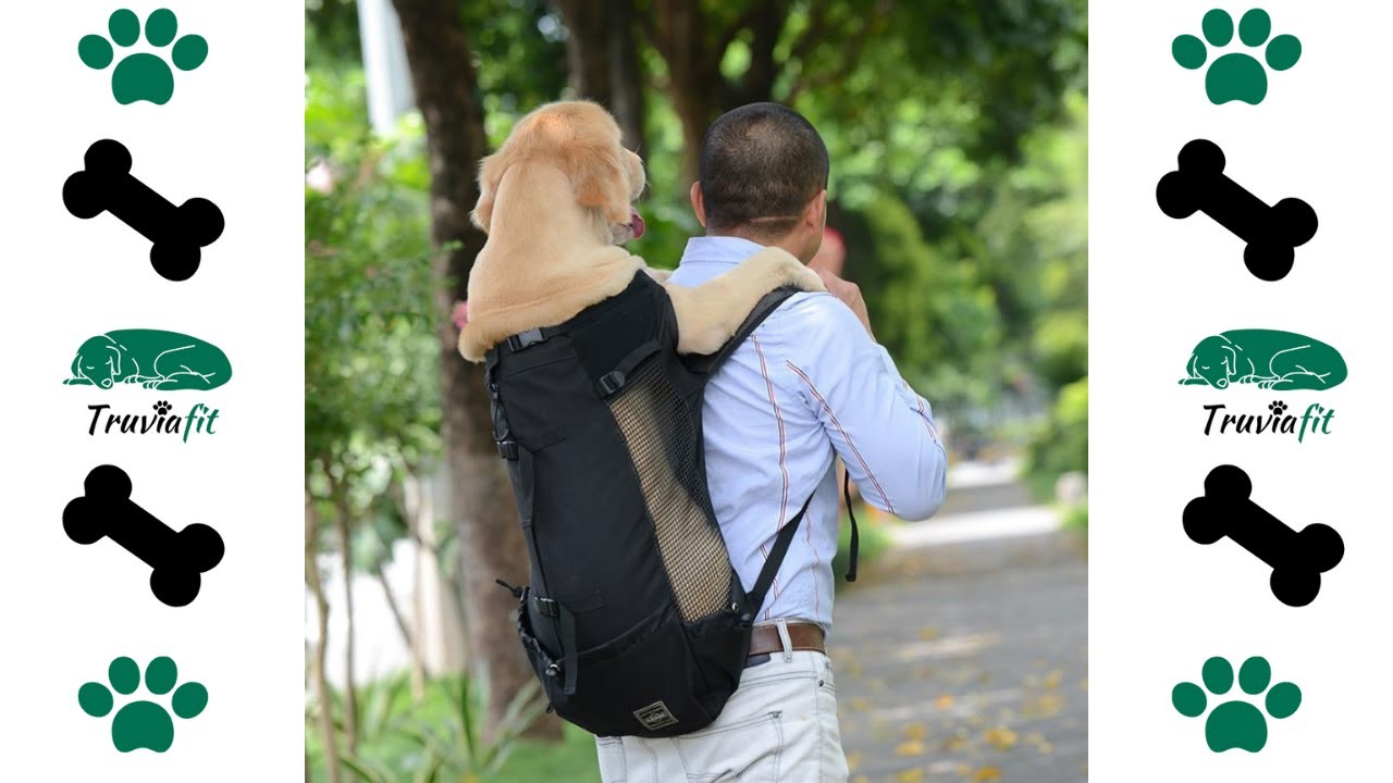 Truviafit | Sac de transport pour chien KING