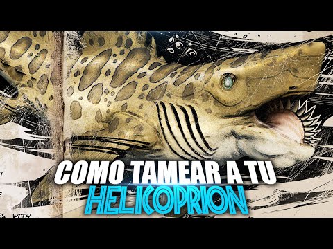 COMO TAMEAR A TU HELICOPRION | Guia Español | Ark: Survival Ascended/Evolved