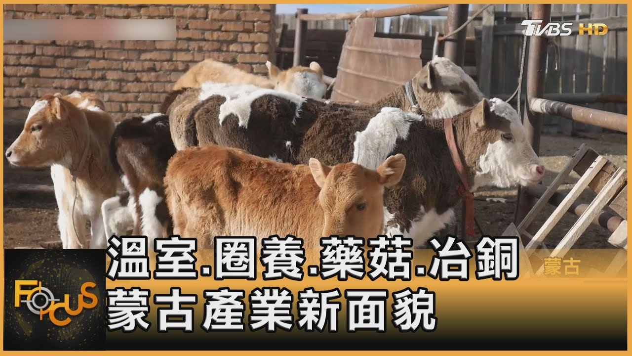 7成國土沙漠化.游牧斷炊 蒙古國轉型重生
