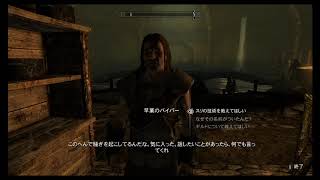 switch版スカイリム(25)：盗賊ギルドに裏切者がいる？