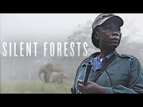 Silent Forests | Trailer | Available Now