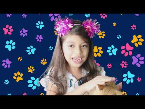 #Mascotas #Gatos #Perros.   Mis mascotas, Odi, Sasha, Chocolatito y Rayito de Sol.