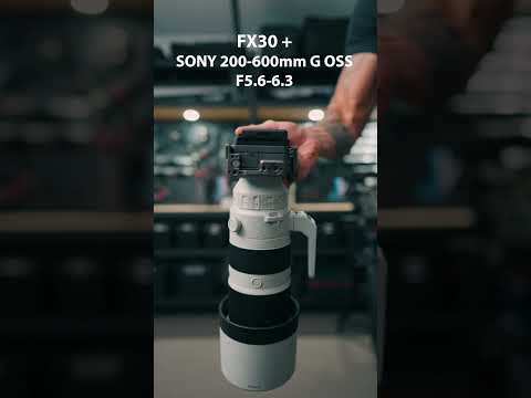 Sony FX30 + 200-600mm combo for Wildlife videography?