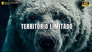 PLANETA ISOLADO - Animais Moldados por Milhões de Anos em Territórios Extremos | Documentário Animal