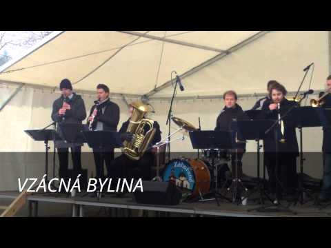 DH Záhořané - Rozsvícení vánočního stromu PB 2014