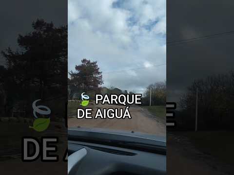 🌳 Parque de Aiguá: Naturaleza, Tradición y Encuentro