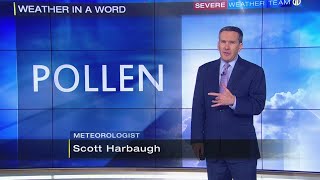 Pollen levels causing problems for allergy suffers