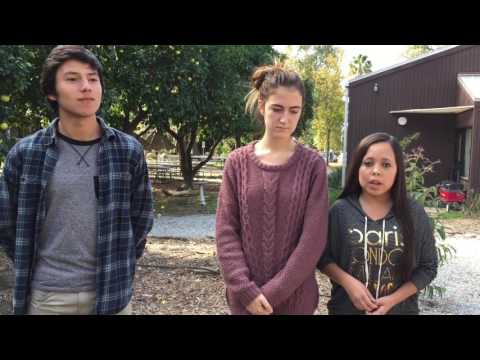 2016 Teacher Appreciation