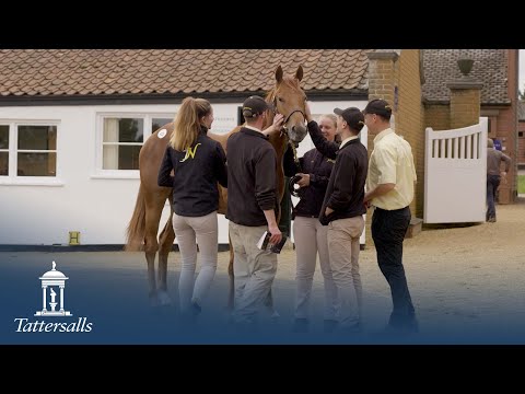 Tattersalls October Yearling Sale Book 1 2021 Day 3 Review