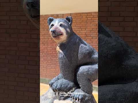 Ruta GRATUITA por Sevilla, Valle del Cauca 🇨🇴