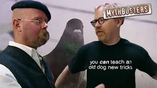 Thumbnail del capítulo