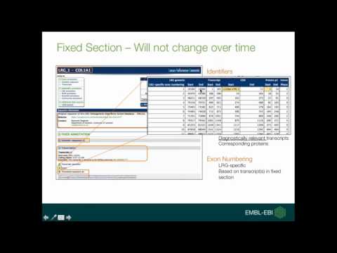 Locus Reference Genomic (LRG) resource