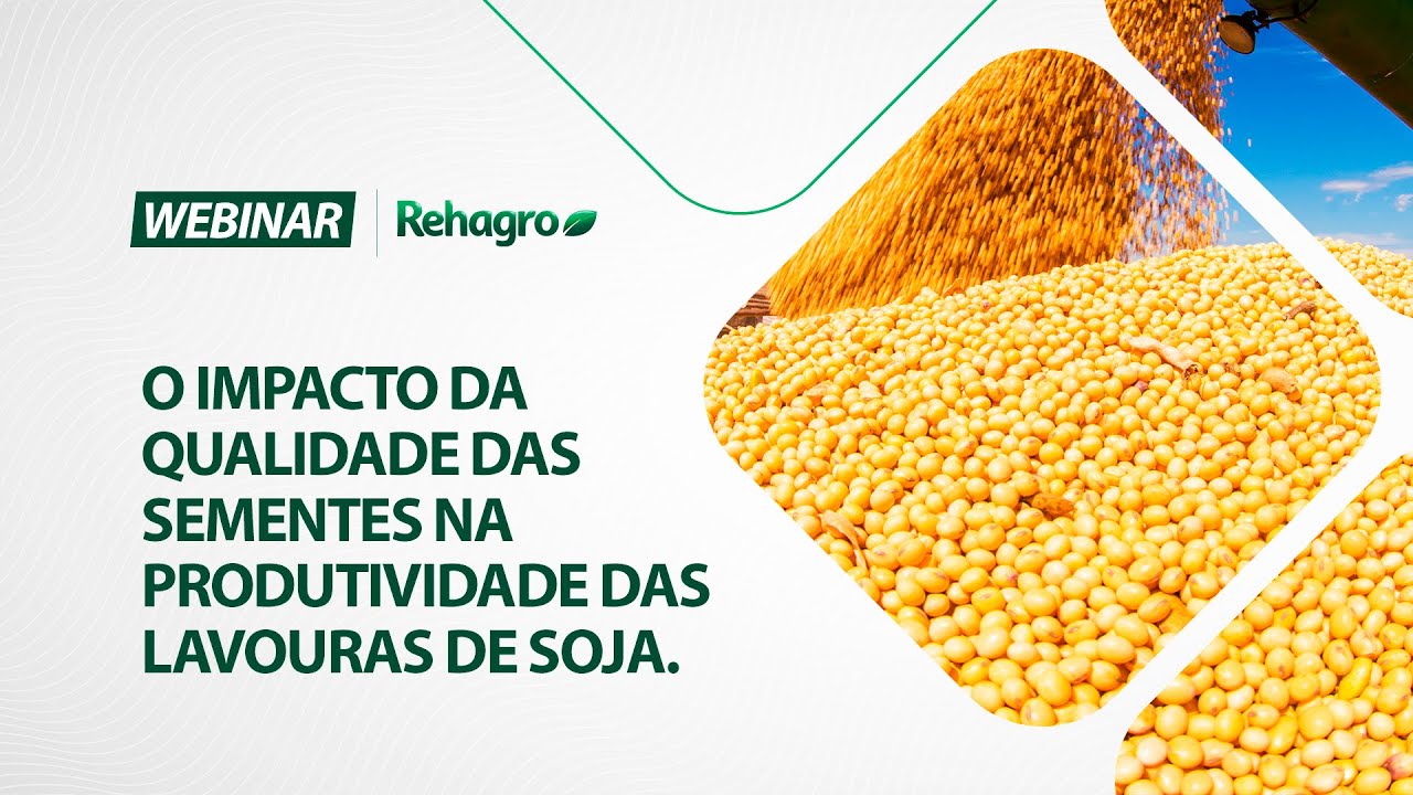 O impacto da QUALIDADE DAS SEMENTES na produtividade das lavouras de soja | Webinar Grãos