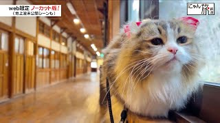 Vol.190「にゃん旅鉄道」どうしても気になるにゃ～